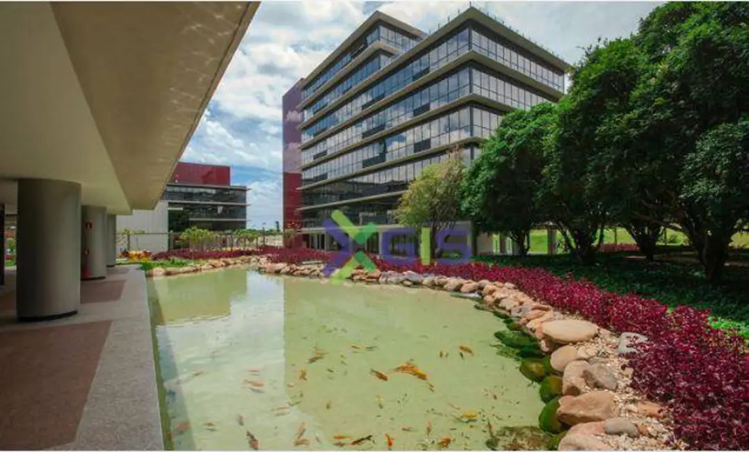 Foto 1 de Sala Comercial para alugar, 49m2 em Sao Jose Do Rio Preto - SP