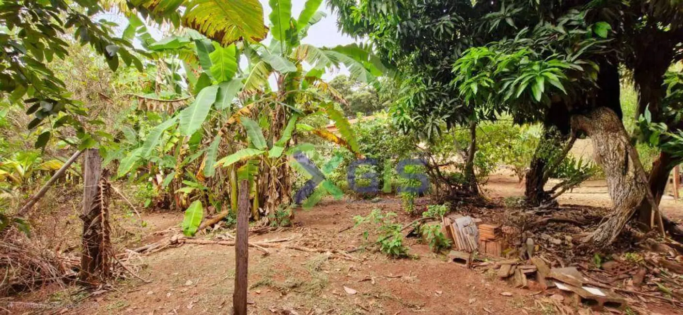 Foto 3 de Chácara com 3 quartos à venda, 4446m2 em Estância Jóckei Club, Sao Jose Do Rio Preto - SP