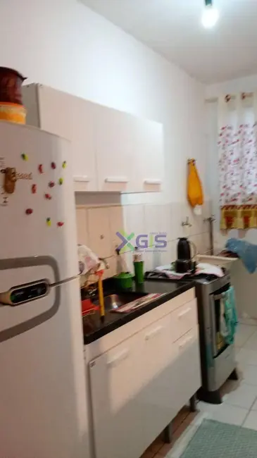 Apartamento com 2 quartos à venda, 47m2 em Residencial Ana Célia, Sao Jose Do Rio Preto - SP - imagem 8 Foto 8 de Apartamento com 2 quartos à venda, 47m2 em Residencial Ana Célia, Sao Jose Do Rio Preto - SP