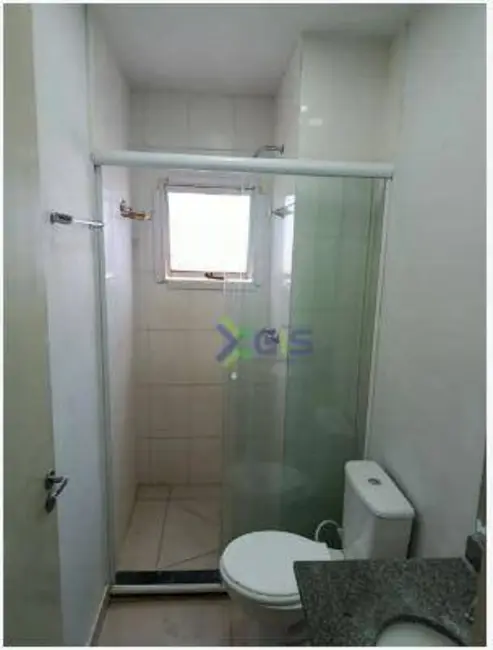 Foto 7 de Apartamento com 2 quartos para alugar, 50m2 em Residencial Santa Filomena, Sao Jose Do Rio Preto - SP