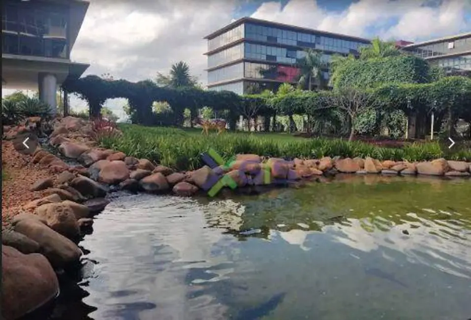 Sala Comercial para alugar, 48m2 em Jardim Vivendas, Sao Jose Do Rio Preto - SP - imagem 3 Foto 3 de Sala Comercial para alugar, 48m2 em Jardim Vivendas, Sao Jose Do Rio Preto - SP