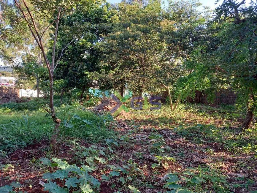 Sala Comercial para alugar, 3000m2 em Ribeirânia, Ribeirao Preto - SP - imagem 6 Foto 6 de Sala Comercial para alugar, 3000m2 em Ribeirânia, Ribeirao Preto - SP