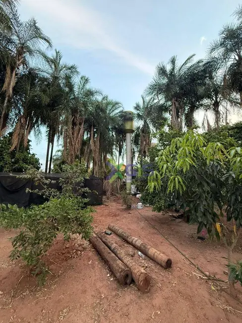 Foto 9 de Chácara com 3 quartos à venda, 1079m2 em Sao Jose Do Rio Preto - SP