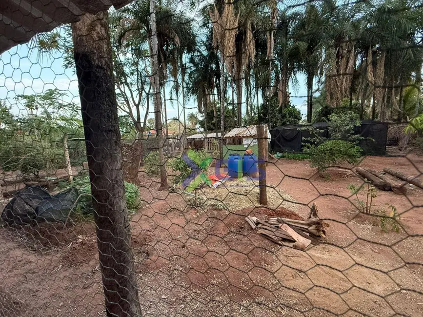 Foto 6 de Chácara com 3 quartos à venda, 1079m2 em Sao Jose Do Rio Preto - SP