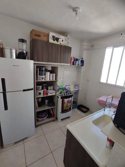 Apartamento com 2 quartos para alugar, 37m2 em Rios di Itália, Sao Jose Do Rio Preto - SP - imagem 7 Foto 7 de Apartamento com 2 quartos para alugar, 37m2 em Rios di Itália, Sao Jose Do Rio Preto - SP