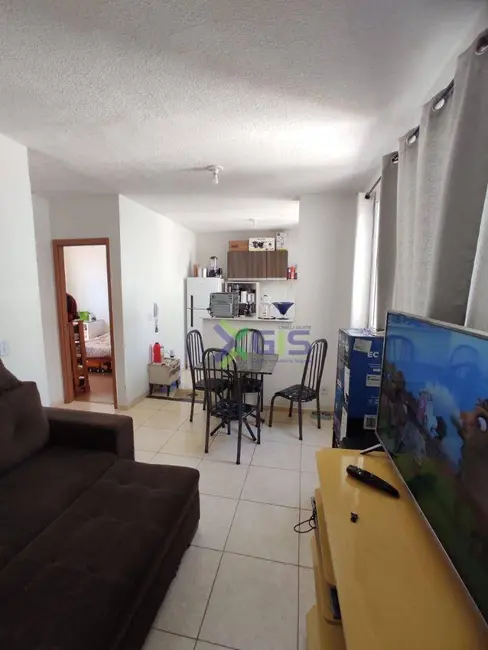 Apartamento com 2 quartos para alugar, 37m2 em Rios di Itália, Sao Jose Do Rio Preto - SP - imagem 8 Foto 8 de Apartamento com 2 quartos para alugar, 37m2 em Rios di Itália, Sao Jose Do Rio Preto - SP