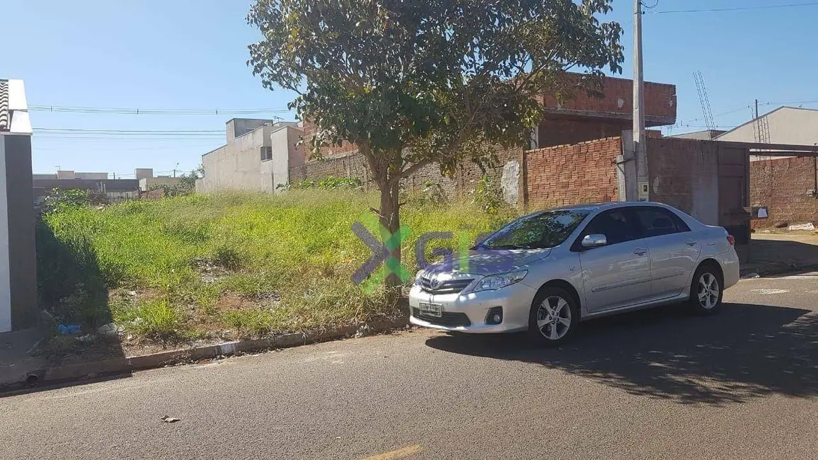 Terreno / Lote à venda, 220m2 em Bady Bassitt - SP - imagem 1 Foto 1 de Terreno / Lote à venda, 220m2 em Bady Bassitt - SP