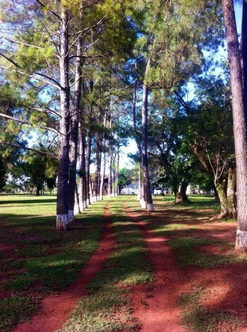 Foto 2 de Chácara com 3 quartos para alugar, 20m2 em Sao Jose Do Rio Preto - SP
