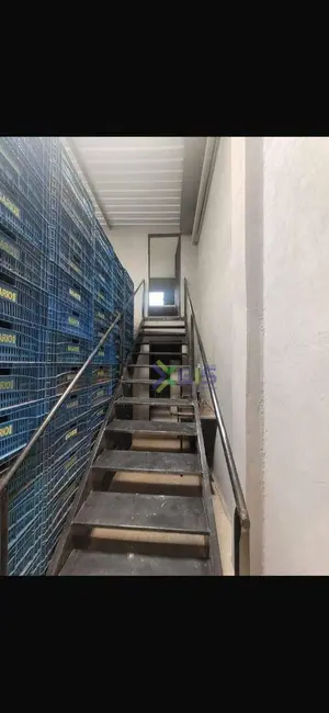 Foto 7 de Armazém / Galpão à venda e para alugar, 250m2 em Bady Bassitt - SP