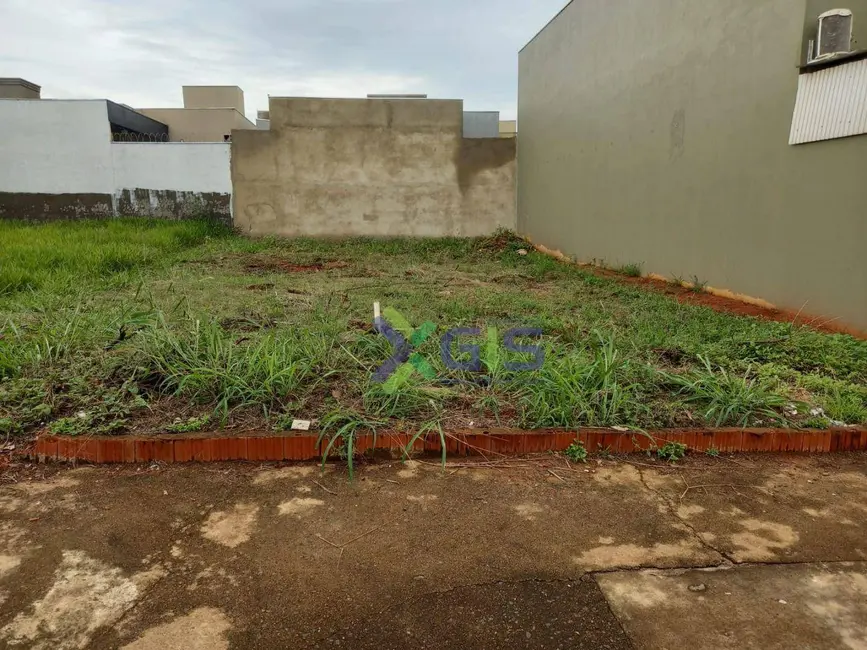 Foto 5 de Terreno / Lote à venda, 200m2 em SETSUL, Sao Jose Do Rio Preto - SP