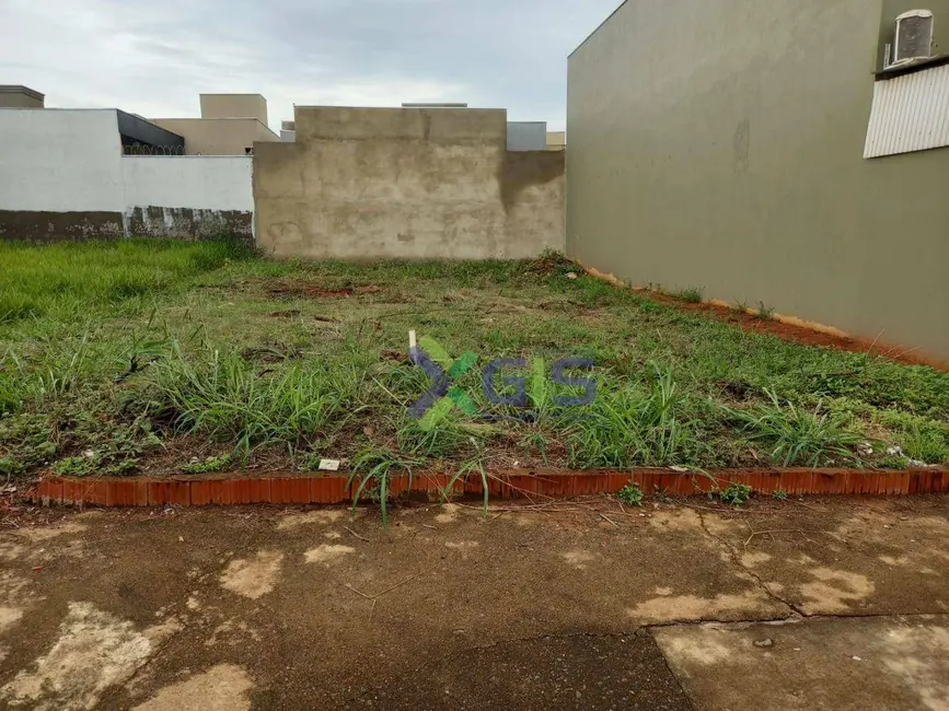 Foto 1 de Terreno / Lote à venda, 200m2 em SETSUL, Sao Jose Do Rio Preto - SP