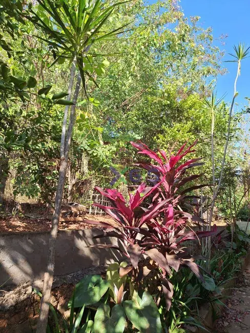 Foto 6 de Chácara com 3 quartos à venda, 2750m2 em Parque das Nascentes (Zona Rural), Sao Jose Do Rio Preto - SP