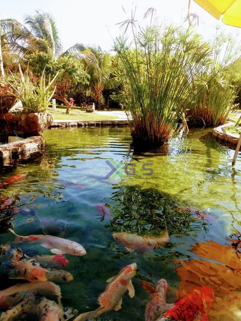 Foto 6 de Chácara com 3 quartos à venda, 2380m2 em Guapiacu - SP