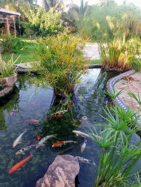 Foto 7 de Chácara com 3 quartos à venda, 2380m2 em Guapiacu - SP