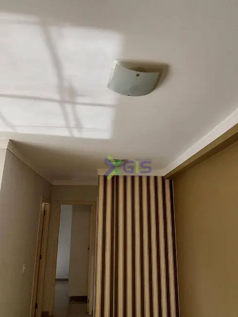 Foto 9 de Apartamento com 2 quartos para alugar, 60m2 em São Francisco, Sao Jose Do Rio Preto - SP