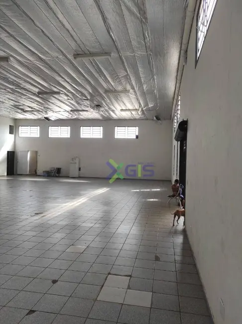 Sala Comercial para alugar, 600m2 em Jardim das Oliveiras, Sao Jose Do Rio Preto - SP - imagem 7 Foto 7 de Sala Comercial para alugar, 600m2 em Jardim das Oliveiras, Sao Jose Do Rio Preto - SP