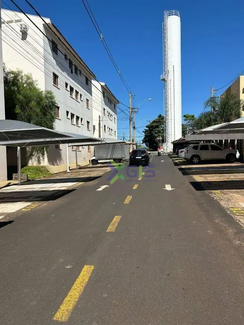 Foto 6 de Apartamento com 2 quartos para alugar, 50m2 em Jardim Yolanda, Sao Jose Do Rio Preto - SP