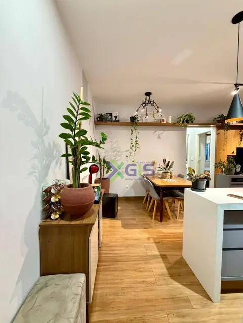 Foto 4 de Apartamento com 2 quartos para alugar, 55m2 em Parque Quinta das Paineiras, Sao Jose Do Rio Preto - SP