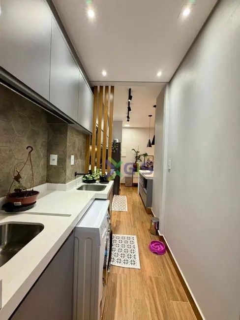 Foto 3 de Apartamento com 2 quartos para alugar, 55m2 em Parque Quinta das Paineiras, Sao Jose Do Rio Preto - SP