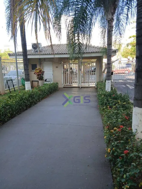 Foto 5 de Apartamento com 2 quartos para alugar, 50m2 em Residencial Santa Filomena, Sao Jose Do Rio Preto - SP