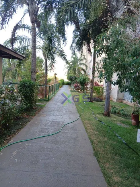 Foto 7 de Apartamento com 2 quartos para alugar, 50m2 em Residencial Santa Filomena, Sao Jose Do Rio Preto - SP