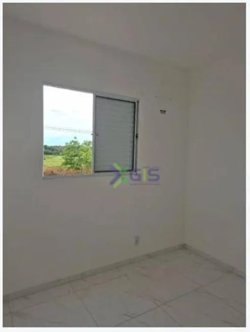 Foto 5 de Apartamento com 3 quartos para alugar, 50m2 em Sao Jose Do Rio Preto - SP