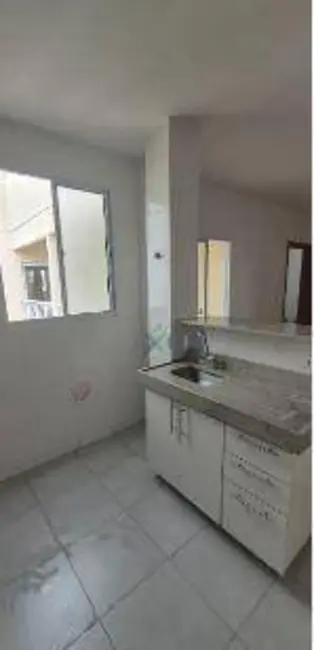 Foto 7 de Apartamento com 2 quartos para alugar, 50m2 em Sao Jose Do Rio Preto - SP