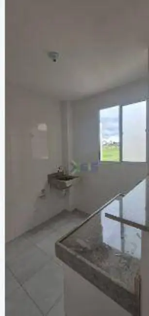 Foto 5 de Apartamento com 2 quartos para alugar, 50m2 em Sao Jose Do Rio Preto - SP
