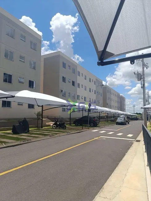 Foto 7 de Apartamento com 2 quartos para alugar, 48m2 em Sao Jose Do Rio Preto - SP