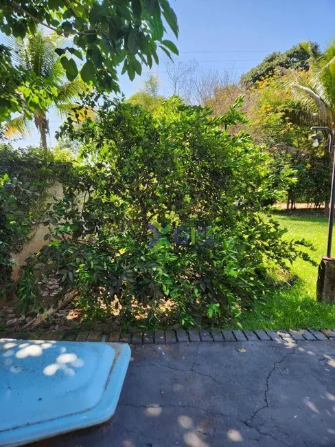 Foto 5 de Chácara com 3 quartos à venda, 1000m2 em Sao Jose Do Rio Preto - SP