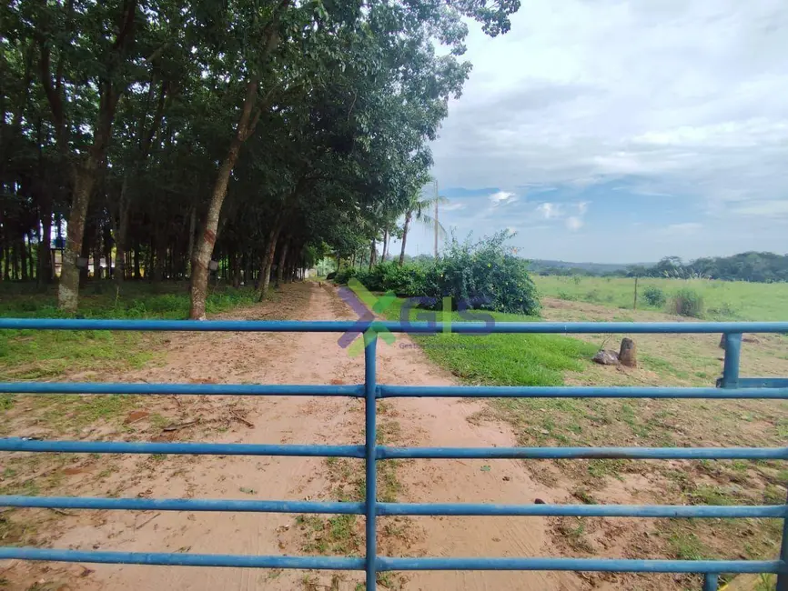 Foto 2 de Sítio / Rancho com 3 quartos à venda, 123000m2 em Neves Paulista - SP