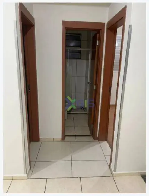Apartamento com 2 quartos para alugar, 50m2 em Vila Toninho, Sao Jose Do Rio Preto - SP - imagem 5 Foto 5 de Apartamento com 2 quartos para alugar, 50m2 em Vila Toninho, Sao Jose Do Rio Preto - SP