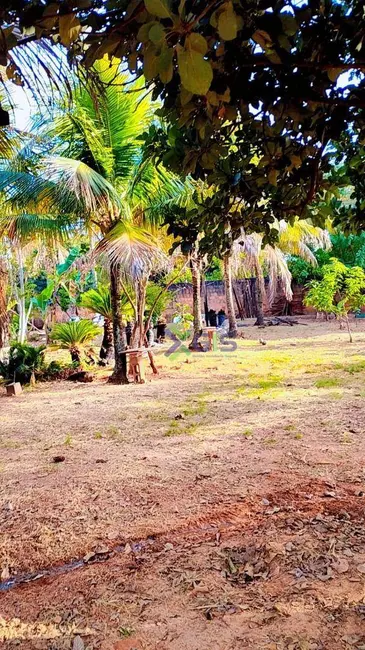 Foto 1 de Chácara com 3 quartos à venda, 5000m2 em Vila Azul (Zona Rural), Sao Jose Do Rio Preto - SP