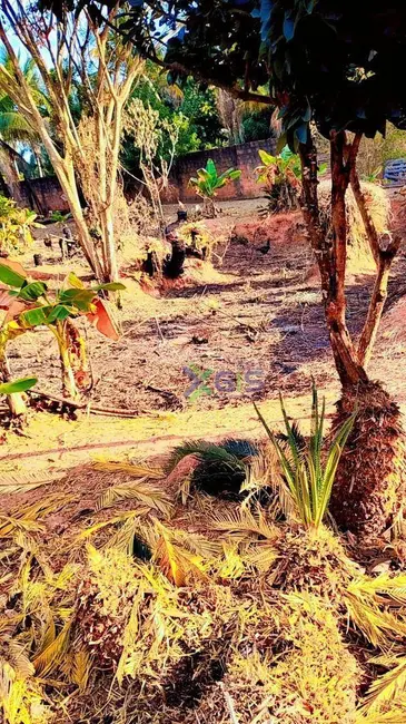 Foto 6 de Chácara com 3 quartos à venda, 5000m2 em Vila Azul (Zona Rural), Sao Jose Do Rio Preto - SP