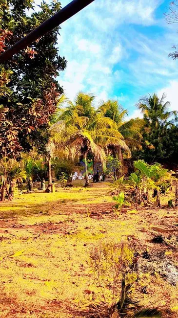Foto 3 de Chácara com 3 quartos à venda, 5000m2 em Vila Azul (Zona Rural), Sao Jose Do Rio Preto - SP