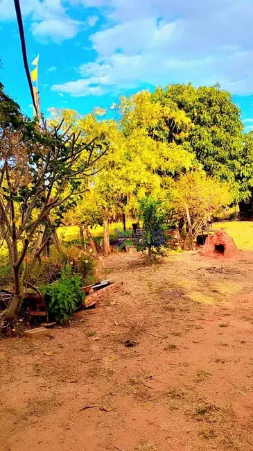 Foto 5 de Chácara com 3 quartos à venda, 5000m2 em Vila Azul (Zona Rural), Sao Jose Do Rio Preto - SP