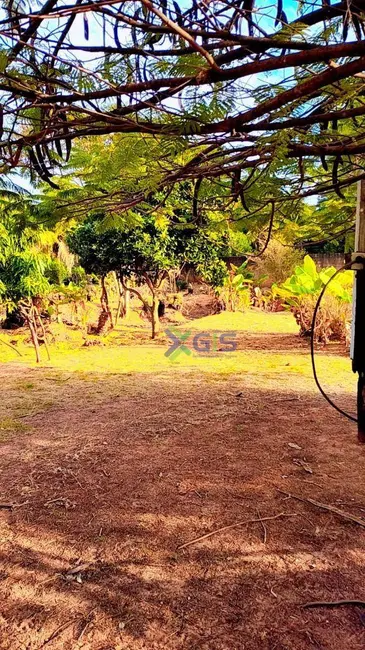 Foto 2 de Chácara com 3 quartos à venda, 5000m2 em Vila Azul (Zona Rural), Sao Jose Do Rio Preto - SP