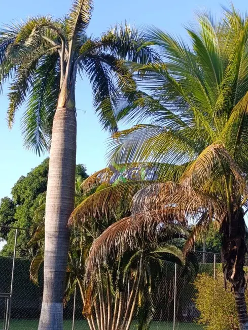 Foto 1 de Chácara com 5 quartos à venda, 2000m2 em Ibira - SP