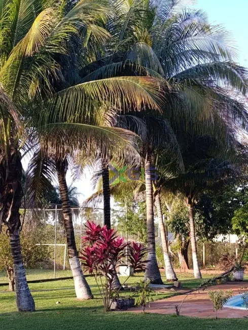 Foto 8 de Chácara com 5 quartos à venda, 2000m2 em Ibira - SP