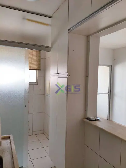Apartamento com 3 quartos para alugar, 50m2 em Jardim Yolanda, Sao Jose Do Rio Preto - SP - imagem 6 Foto 6 de Apartamento com 3 quartos para alugar, 50m2 em Jardim Yolanda, Sao Jose Do Rio Preto - SP
