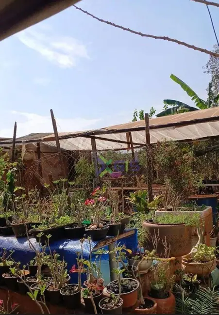 Foto 7 de Chácara com 3 quartos à venda, 1000m2 em Estância Bela Vista III (Zona Rural), Sao Jose Do Rio Preto - SP