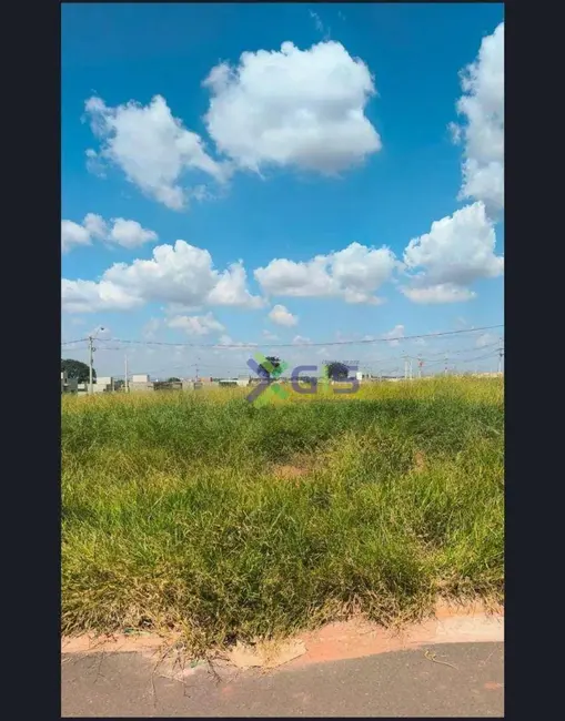 Foto 2 de Terreno / Lote à venda, 200m2 em Mirassol - SP