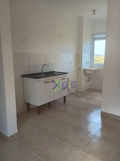 Foto 7 de Apartamento com 2 quartos para alugar, 60m2 em Sao Jose Do Rio Preto - SP