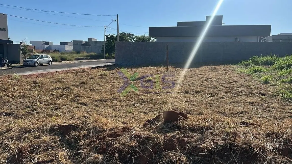Foto 2 de Terreno / Lote à venda, 308m2 em SETSUL, Sao Jose Do Rio Preto - SP