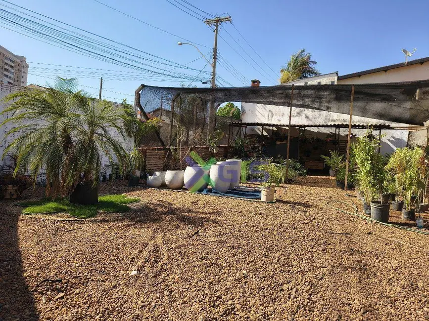 Terreno / Lote à venda e para alugar, 250m2 em Conjunto Habitacional São Deocleciano, Sao Jose Do Rio Preto - SP - imagem 2 Foto 2 de Terreno / Lote à venda e para alugar, 250m2 em Conjunto Habitacional São Deocleciano, Sao Jose Do Rio Preto - SP