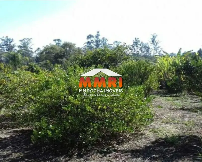 Foto 8 de Sítio / Rancho com 2 quartos à venda, 10000m2 em Centro, Capela Do Alto - SP