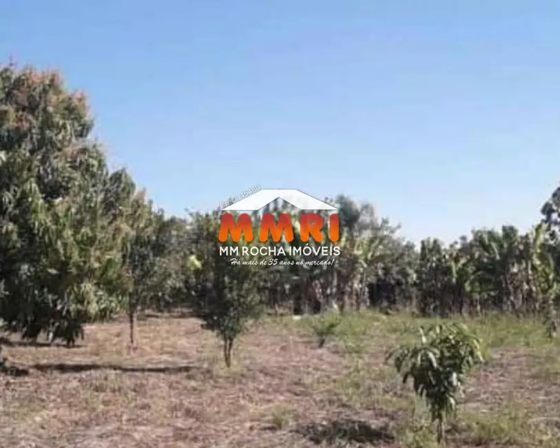Foto 6 de Sítio / Rancho com 2 quartos à venda, 10000m2 em Centro, Capela Do Alto - SP