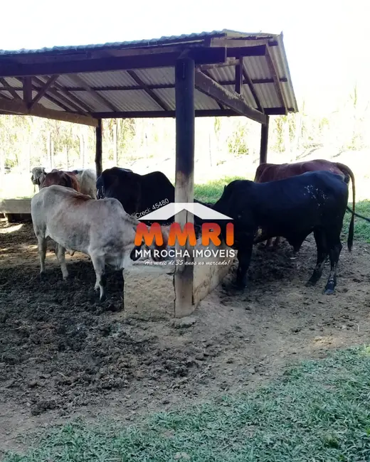 Foto 9 de Sítio / Rancho com 1 quarto à venda, 31000m2 em Aracoiaba Da Serra - SP