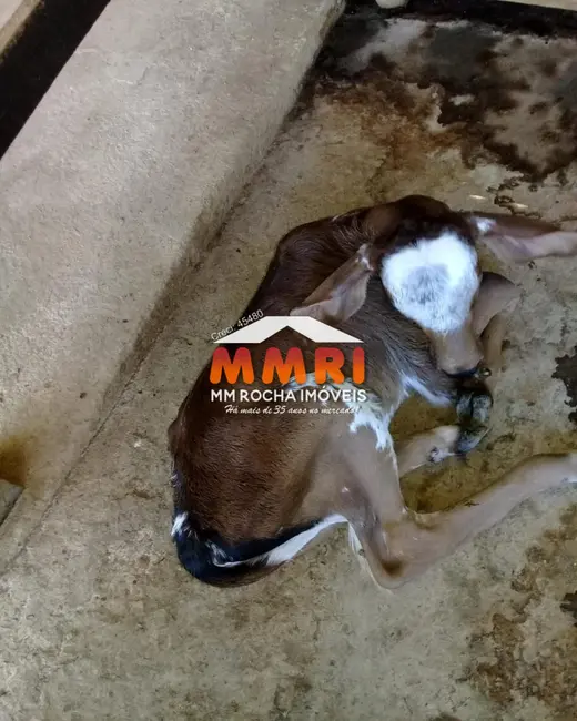 Foto 7 de Sítio / Rancho com 1 quarto à venda, 31000m2 em Aracoiaba Da Serra - SP