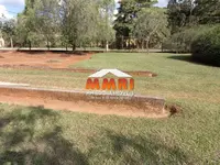 Imagem 13